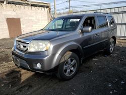 Honda Pilot salvage cars for sale: 2010 Honda Pilot EXL