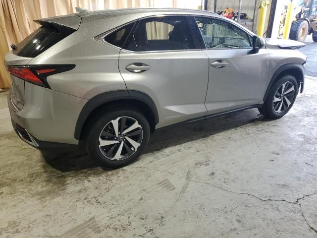 2021 Lexus NX 300H Base