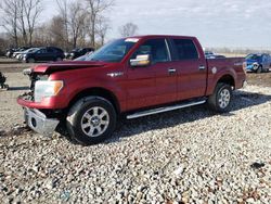 Vehiculos salvage en venta de Copart Cleveland: 2013 Ford F150 Supercrew