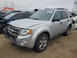 Salvage cars for sale at Elgin, IL auction: 2011 Ford Escape XLT