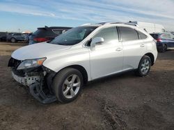 Salvage cars for sale at Elgin, IL auction: 2010 Lexus RX 350