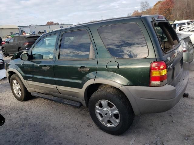 2001 Ford Escape XLT