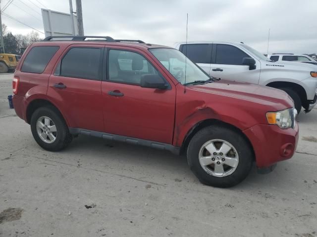 2010 Ford Escape XLT