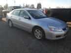 2006 Honda Accord SE