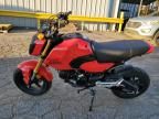 2025 Honda Grom 125