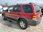 2006 Ford Escape XLT