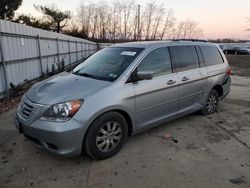 Salvage cars for sale at Windsor, NJ auction: 2010 Honda Odyssey EXL