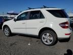 2009 Mercedes-Benz ML 350