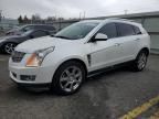 2010 Cadillac SRX Performance Collection