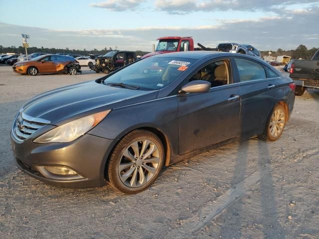 2011 Hyundai Sonata SE