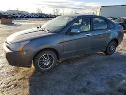 Ford salvage cars for sale: 2009 Ford Focus SE