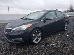 Salvage cars for sale at Portland, OR auction: 2016 KIA Forte EX