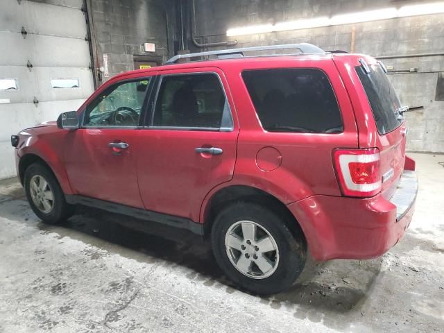 2011 Ford Escape XLT