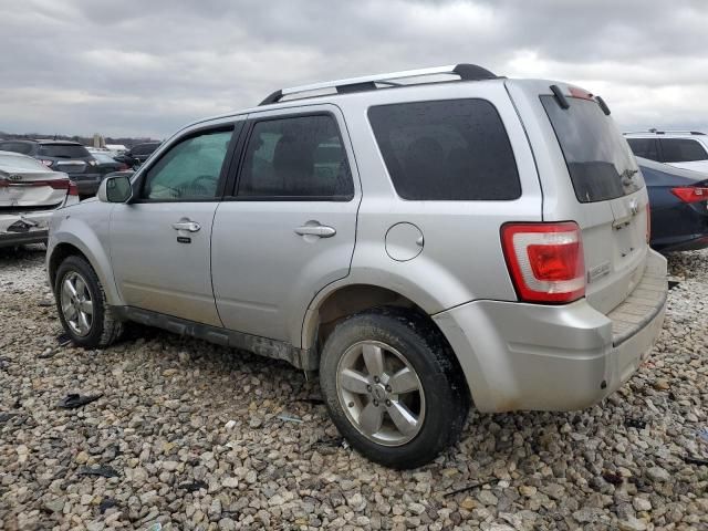 2011 Ford Escape Limited