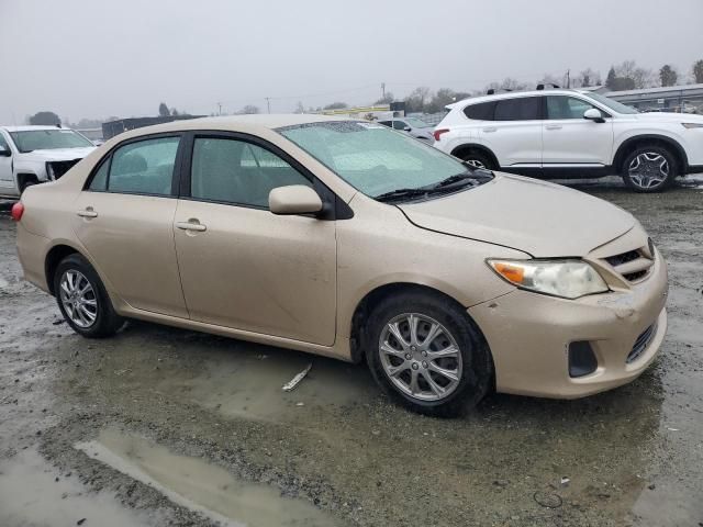 2011 Toyota Corolla Base