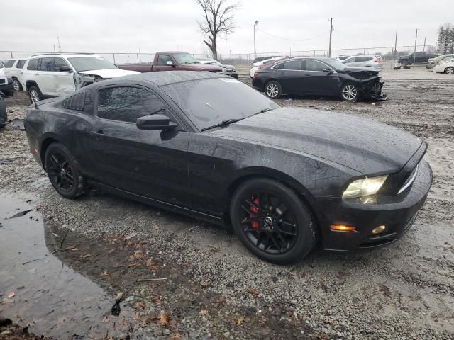 2014 Ford Mustang