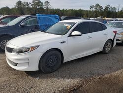 Salvage cars for sale from Copart Harleyville, SC: 2018 KIA Optima LX