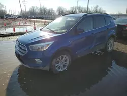 Salvage cars for sale from Copart Columbus, OH: 2017 Ford Escape SE