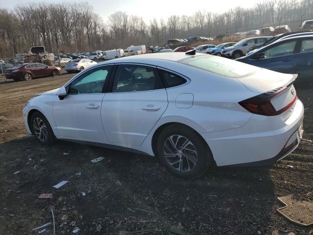 2022 Hyundai Sonata Hybrid