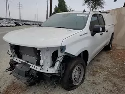 Salvage trucks for sale at Rancho Cucamonga, CA auction: 2024 Chevrolet Silverado C1500