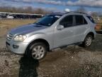 2006 Mercedes-Benz ML 350