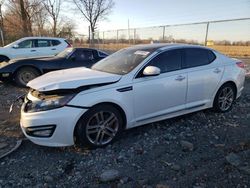 KIA Vehiculos salvage en venta: 2013 KIA Optima SX