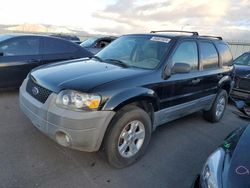 Ford Escape salvage cars for sale: 2007 Ford Escape XLT