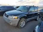 2007 Ford Escape XLT