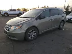 Salvage cars for sale at Denver, CO auction: 2013 Honda Odyssey EXL