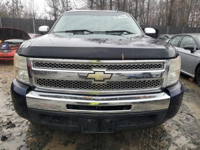 2010 Chevrolet Silverado K1500 LS