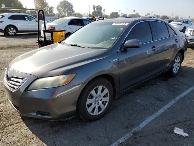 2008 Toyota Camry Hybrid