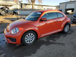 Volkswagen Vehiculos salvage en venta: 2019 Volkswagen Beetle S