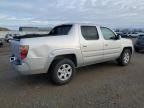 2006 Honda Ridgeline RTL