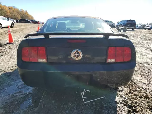 2005 Ford Mustang