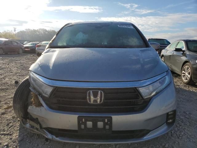 2023 Honda Odyssey EXL