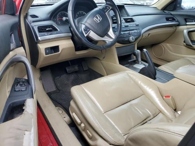 2008 Honda Accord EXL