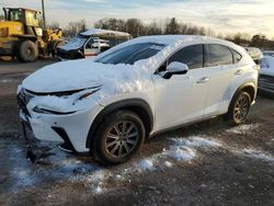 2019 Lexus NX 300 Base en venta en Chalfont, PA