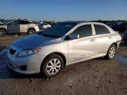 Toyota salvage cars for sale: 2010 Toyota Corolla Base