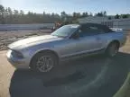 2005 Ford Mustang