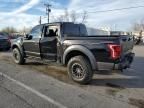 2019 Ford F150 Raptor