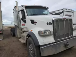 Peterbilt 567 Vehiculos salvage en venta: 2019 Peterbilt 567