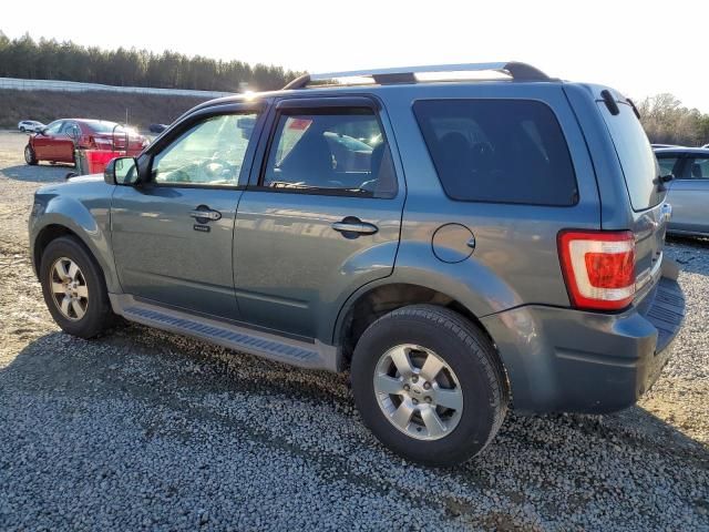 2011 Ford Escape Limited