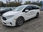 2024 Honda Odyssey EXL