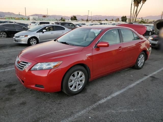 2007 Toyota Camry Hybrid