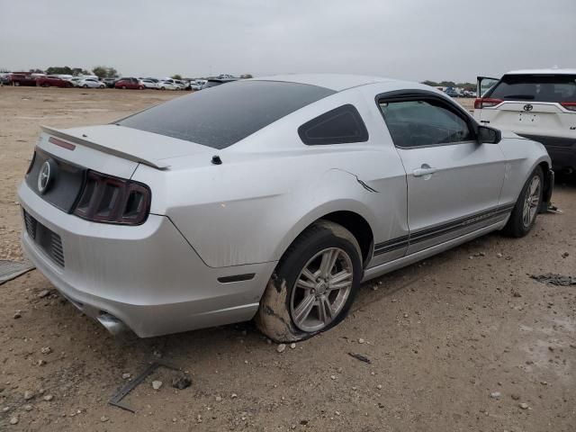 2013 Ford Mustang