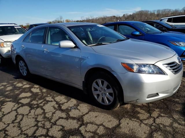 2009 Toyota Camry Hybrid