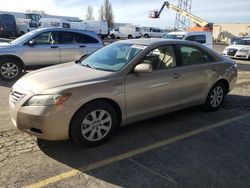 Toyota salvage cars for sale: 2007 Toyota Camry Hybrid