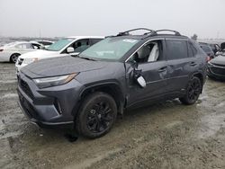 Salvage cars for sale at Antelope, CA auction: 2023 Toyota Rav4 XSE