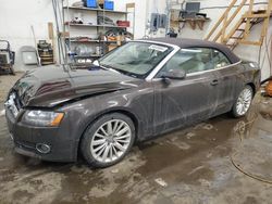 Salvage cars for sale from Copart Ham Lake, MN: 2011 Audi A5 Premium Plus