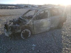 Salvage cars for sale at Avon, MN auction: 2020 Subaru Forester Limited